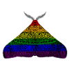 Pride Moth