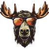 Moose Cool Head Party