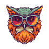 Owl Cool Head Party