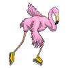 Flamingo Inline skating Rollschuhe