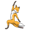 Fox Yoga Fitness Gymnastics