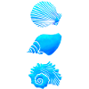 Seashells