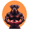 Rottweiler as Boxer