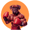Dog as Boxer