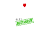 Techniker Bestanden
