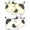 Vache double