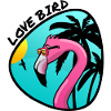 Flamingo the love bird