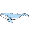 La baleine et l’eau