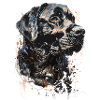 Chien Labrador Hund