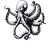 Komplizierte Schwarz-Weiß-Oktopus-Illustration