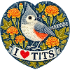 Tufted Titmouse