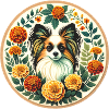 papillon dog