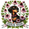 teckel doxie maman