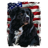 Newfoundland America USA