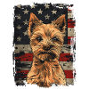 Norwich Terrier America Usa