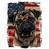 Pug America Usa