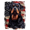 Rottweiler America USA