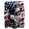 Pyrenean Shepherd America Usa
