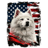 Samoyed America USA