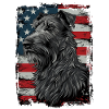 Scottish Deerhound, America USA