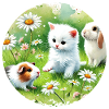 Cochons d’Inde, lapins et chatons