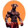 Doberman en boxeur
