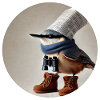 Nuthatch with binoculars
