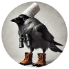 Jackdaw with binoculars