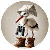 Cigogne avec jumelles
