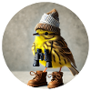 Yellowhammer with cap and binoculars