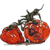 Moule // Tomate