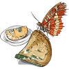 Mould // Food