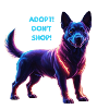 Glowing adopt don't shop dog