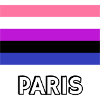Genderfluid Pride Flag Paris