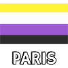 Non binary Pride Flag Paris