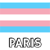Trans Pride Flag Paris