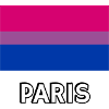 Drapeau Bi Pride Paris