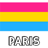 Pan Pride Drapeau Paris