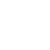 Chien