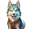 A cute husky