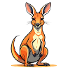 A kangaroo in Australia
