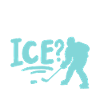 Eishockey