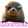 Walross mit Sonnenbrille