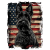 Scottish Terrier America Usa