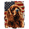 Sussex Spaniel America Usa
