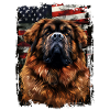 Tibetan Mastiff America USA
