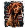 Vizsla-America Usa