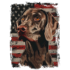Weimaraner-America USA