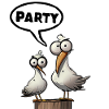 Seagull Party Hard!