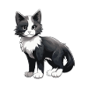 Cat Symbol Animal